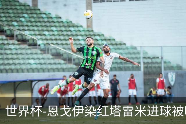 世界杯-恩戈伊染红塔雷米进球被吹 10人比利时0-0伊朗